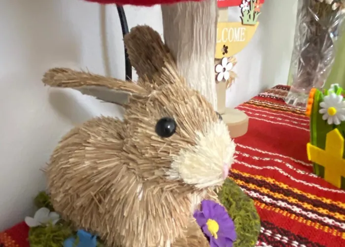 Sol E Mar Apartman Napospart